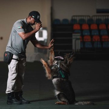 Dubai Police K9 Unit Completes 2,800 Missions in 2024, Enhancing Public Safety