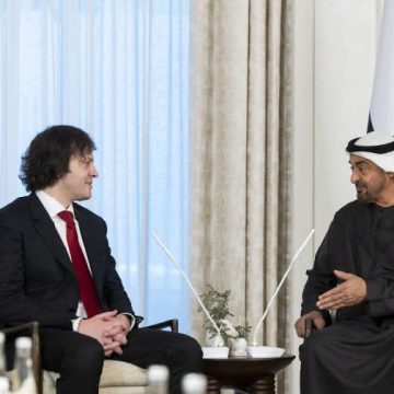 UAE President Hosts Georgian Prime Minister to Discuss Strengthening Ties