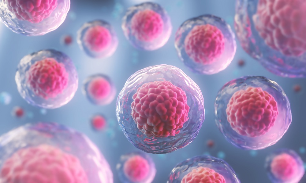 UAE Unveils First Stem Cells Research Centre to Lead in Regenerative Medicine