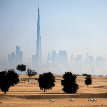 UAE Turns to AI Technology to Combat Drought and Enhance Rainfall