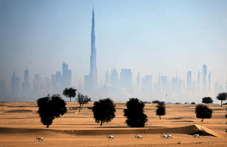 UAE Turns to AI Technology to Combat Drought and Enhance Rainfall