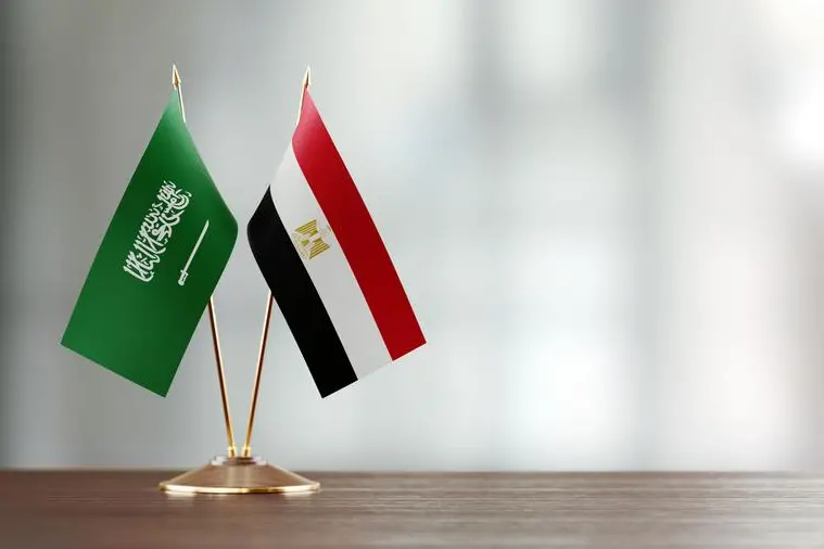 Egypt and Saudi Arabia Strengthen Energy Cooperation