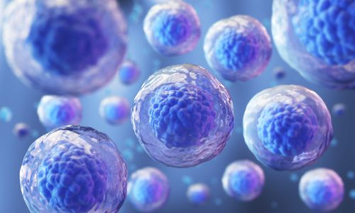 Dubai to Host Third Stem Cell Conference with 500 Experts