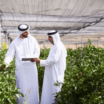 Abu Dhabi Launches Program for Early Detection of Plant Diseases and Pests