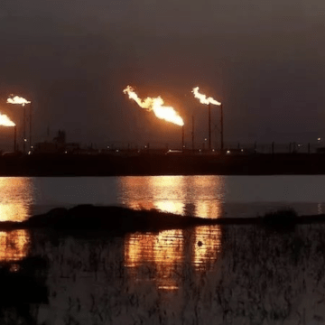 Saudi Arabia and UAE to Implement Further Oil Output Cuts in OPEC's New Plan