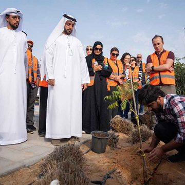 Abu Dhabi Launches Tree-Planting Initiative for a Greener Future