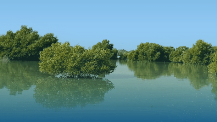 Ninth Abu Dhabi Sustainable Business Leadership Forum Set for 16-17 October