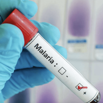 UAE and WHO Launch Regional Database to Combat Malaria