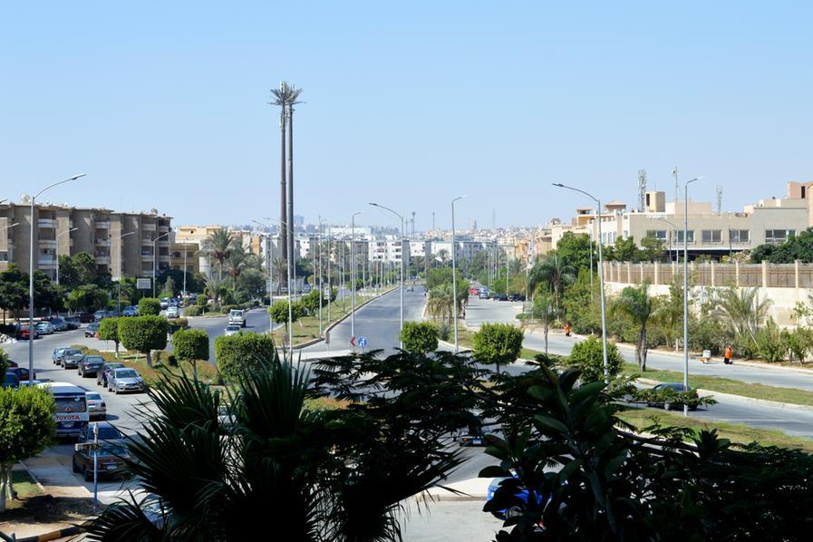 Central Bank of Egypt Reduces Key Interest Rates by 100 Basis Points