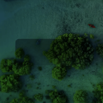 Abu Dhabi Introduces New Regulation for Environmental Emergency Preparedness