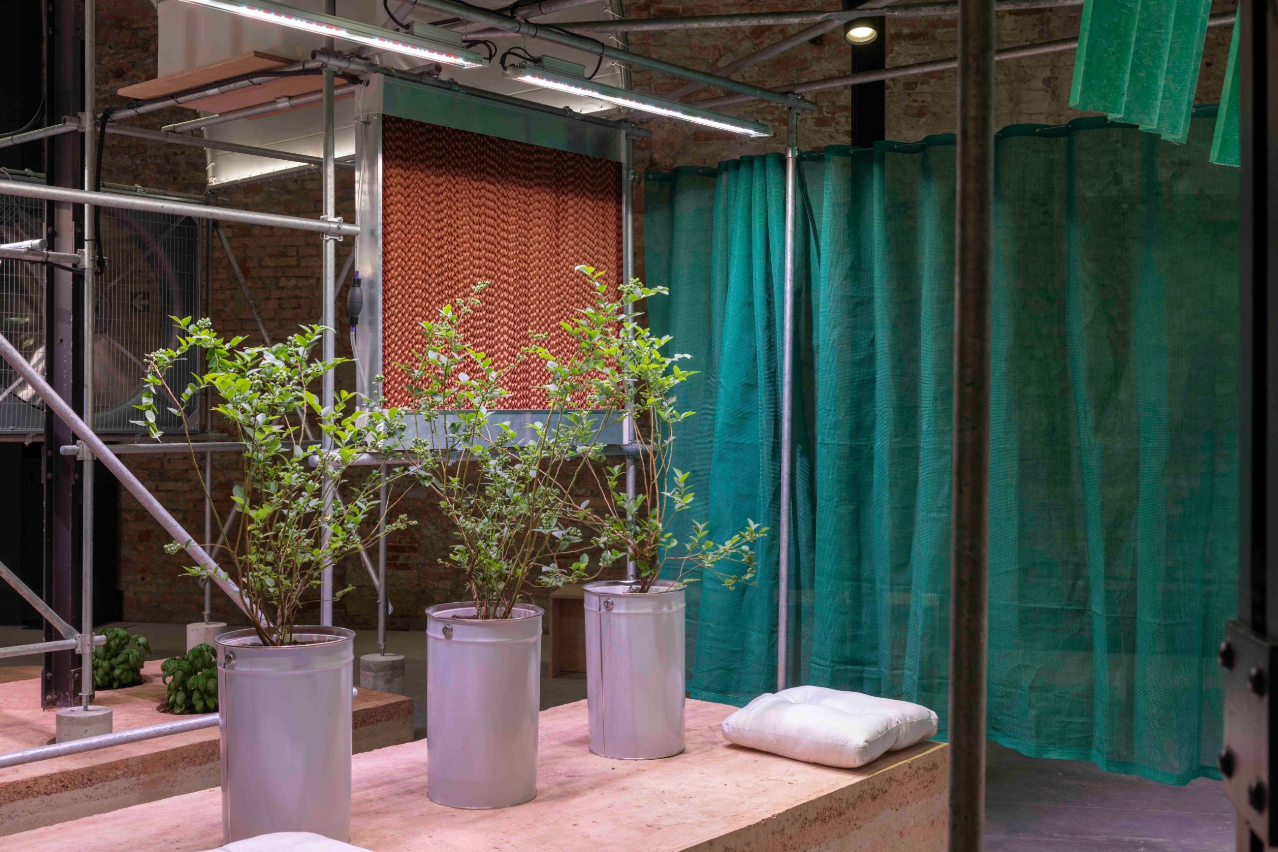 National Pavilion UAE Unveils 