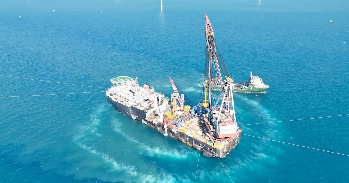 NMDC Energy in Abu Dhabi Seeks to Enhance Collaboration with Chinese Firms