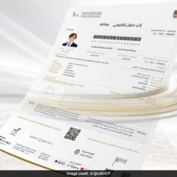 UAE Introduces Blue Visa for Expats: Eligibility and Application Process