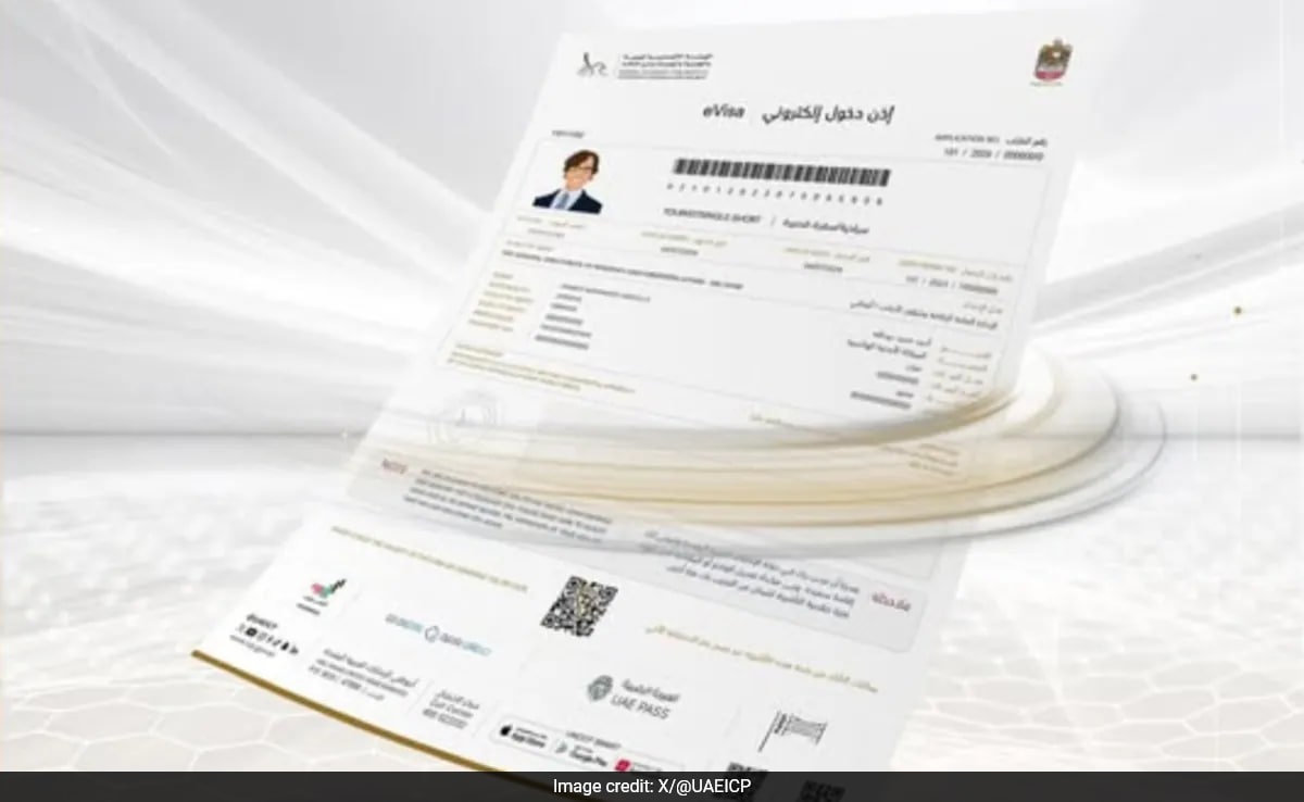 UAE Introduces Blue Visa for Expats: Eligibility and Application Process