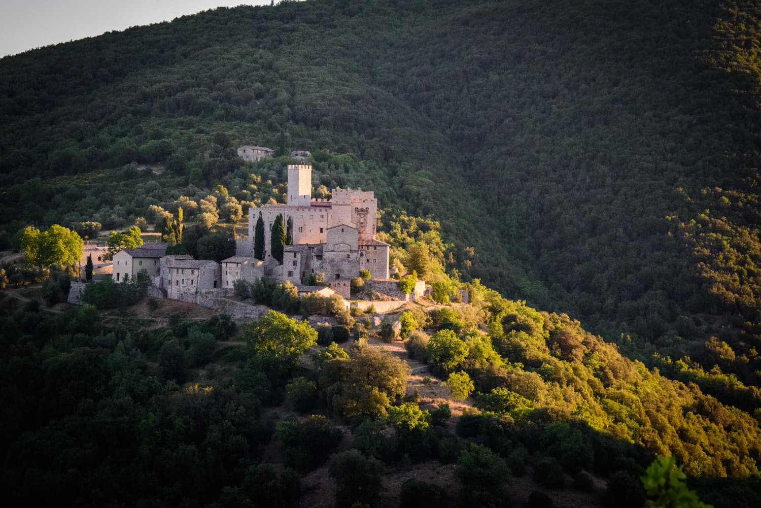 UAE Invests $40 Billion in Italy to Strengthen Bilateral Ties