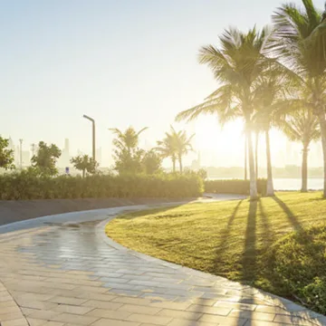 Dubai Launches Dhs105 Million Mental Health Framework