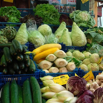 Bihar Farmers Begin Vegetable Exports to Dubai with First Shipment Bihar Farmers Begin Vegetable Exports to Dubai with First Shipment