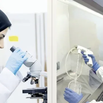 Two Emirati Students Join Advanced Research Program at Mayo Clinic