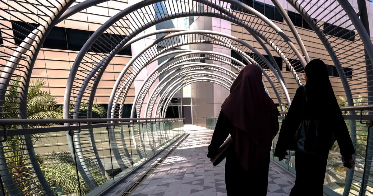 UAE Universities Rise in Global Education Rankings with Khalifa University Leading the Charge