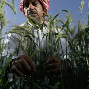 Saudi Arabia Launches 'Reef Saudi' to Enhance Sustainable Agriculture and Rural Development Saudi Arabia Launches 'Reef Saudi' to Enhance Sustainable Agriculture and Rural Development