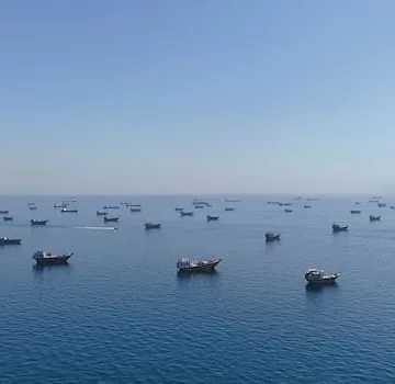 Gulf Companies to Disclose Varied Effects of Iran Conflict in Q2