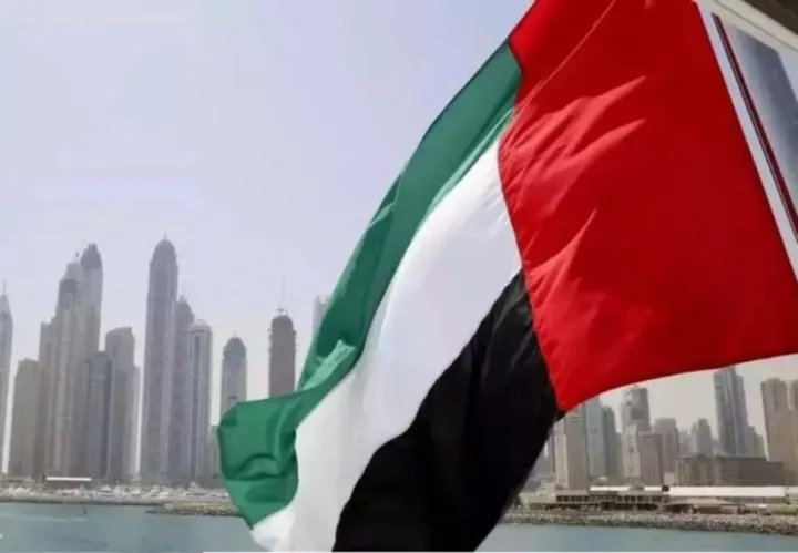 United-Arab-Emirates-UAE.png UAE Shows Strong Commitment to Nigeria-Morocco Gas Pipeline Initiative